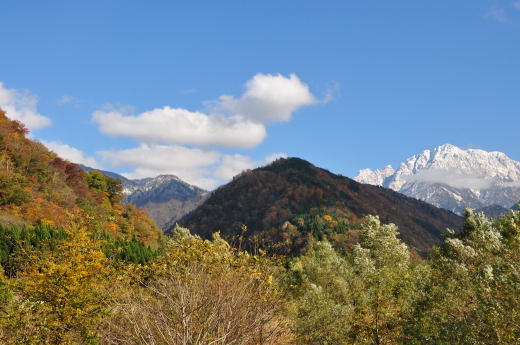 馬場島　紅葉