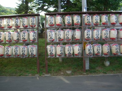 CIMG4178 (400x300).jpg