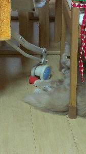 rblog-20130413002634-02.png