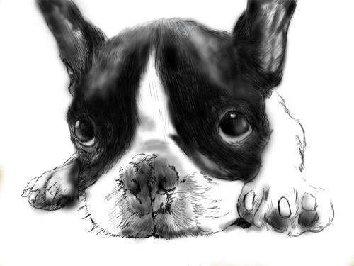 フレンチブルドッグのテモちゃんフィギュア製作 Bjd Nf篇 10 犬のイラストの描き方本 Finlandia 楽天ブログ