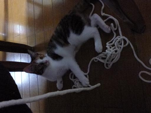 画像 2096.jpg