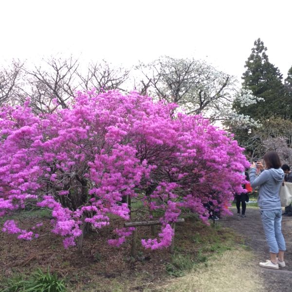 rblog-20160411215911-02.jpg