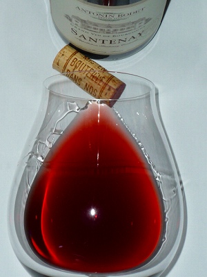 Antonin Rodet Santenay 2009 glass.jpg