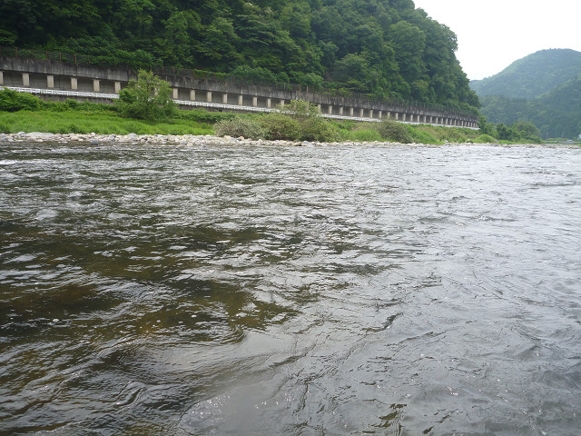 resize0050.jpg