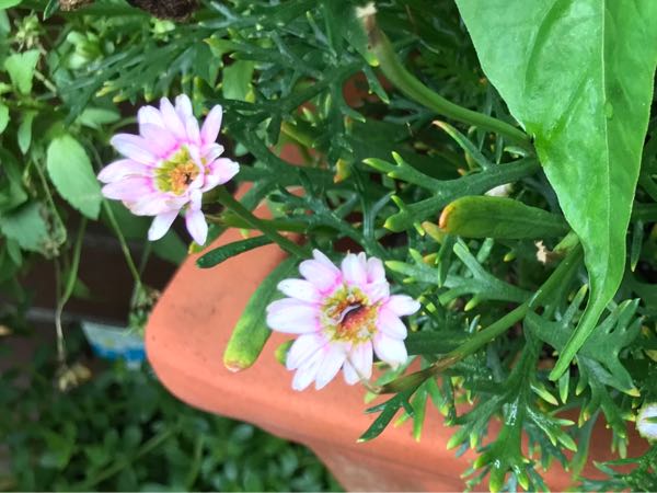 rblog-20180624175618-01.jpg