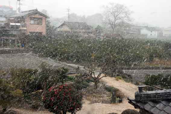 雪景色2012/0126-1♪