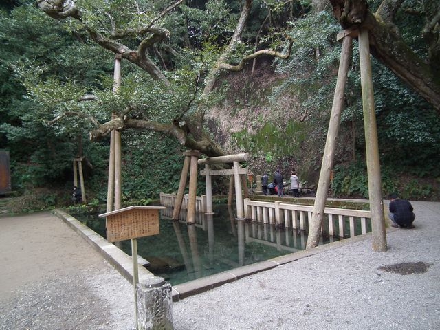 DSCF2187.JPG