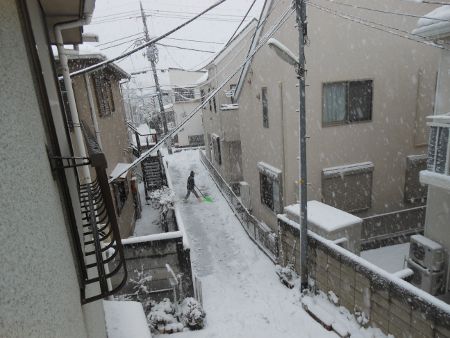 ゆき