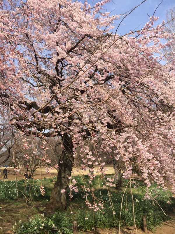 rblog-20170405001416-03.jpg