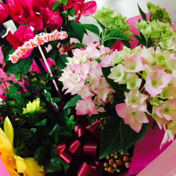 rblog-20150511132258-00.jpg