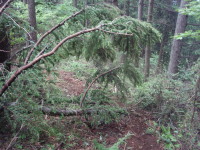 20120624_89.jpg