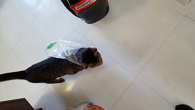 20161025_111711.jpg