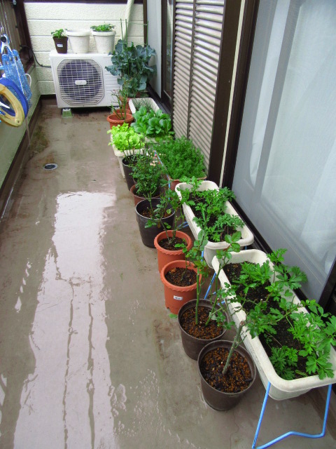 IMG_7696.JPG