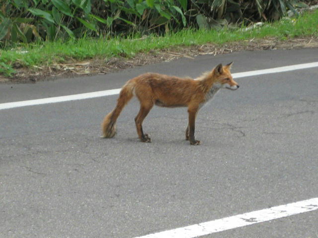 IMG_8807.JPG