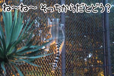 夜１８.JPG