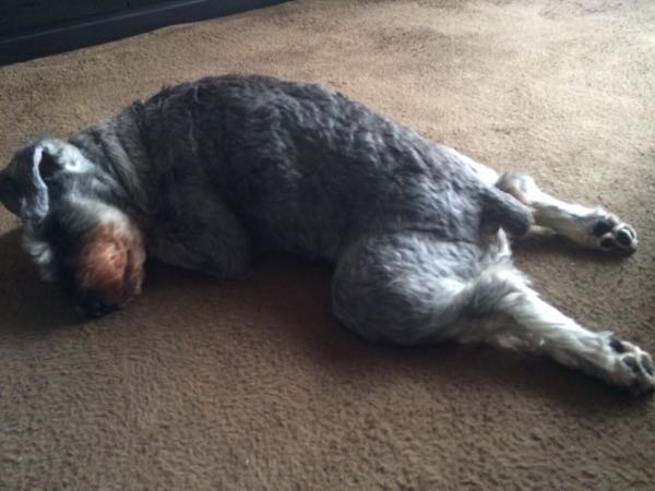 rblog-20160403021214-01.jpg