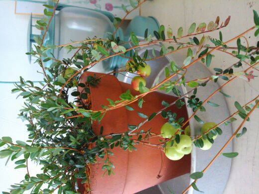rblog-20140714123734-01.jpg
