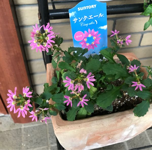 rblog-20180624174923-06.jpg