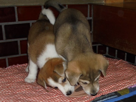 DSC01308.JPG