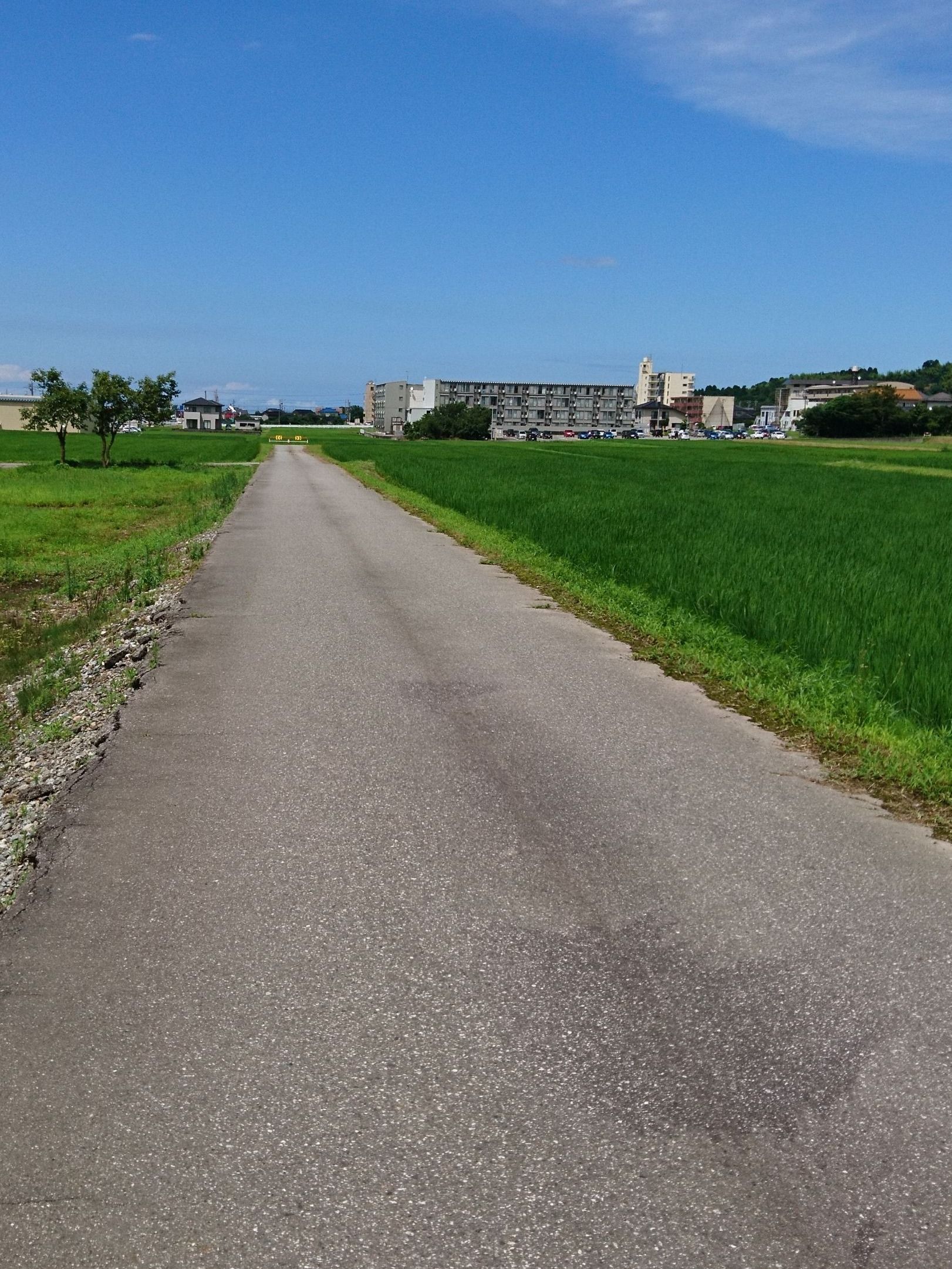 ゾンカイザー級においしい 富山大学杉谷キャンパス近くのパン屋 ブーランジェリーイマムラ 富山大学杉谷キャンパス周辺のブログ 楽天ブログ