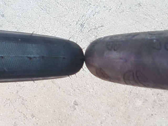 KC4D0454.JPG