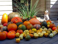 20131014リゾナーレ