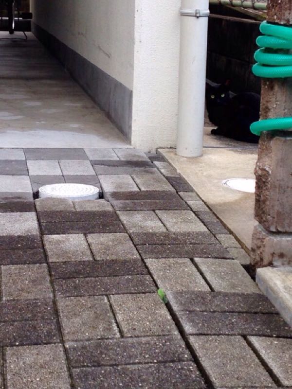 rblog-20150922143331-02.jpg