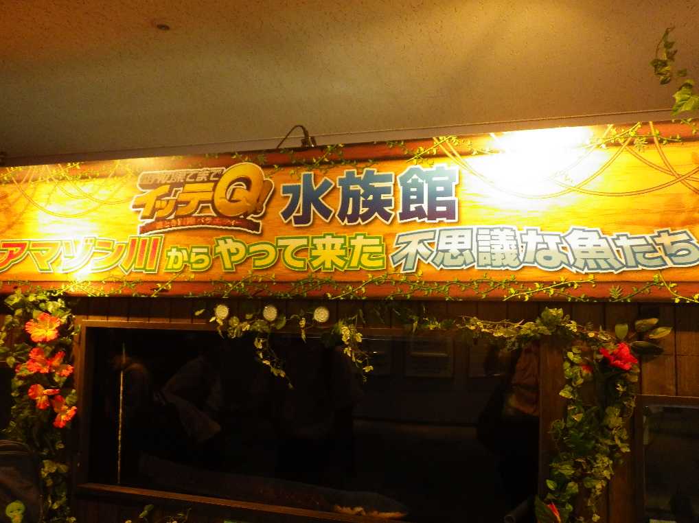IMGP0065.JPG