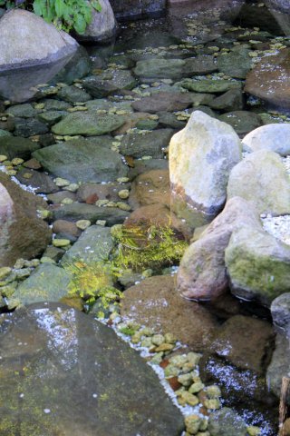 IMG_0015.JPG