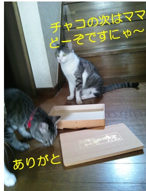20120902_2.jpg