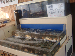 resize2341.jpg