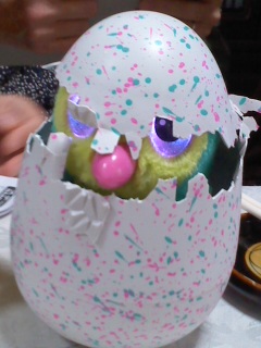 170101_1304~01.jpg