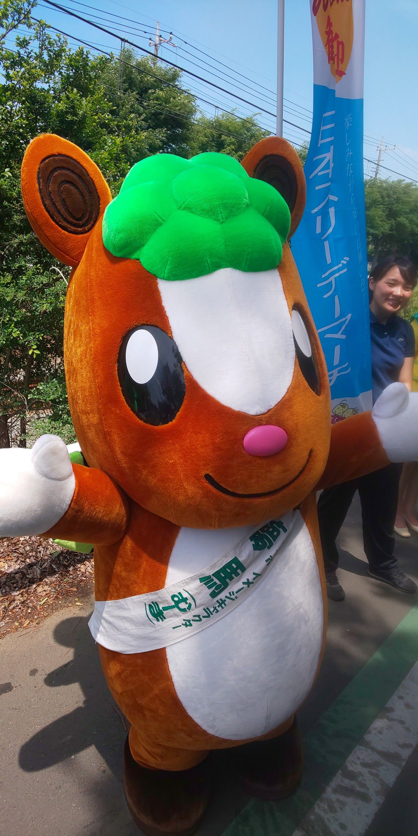 飯能ツーデーマーチ 一日だけ参加です おっさんの優待投資 Aのページ 楽天ブログ