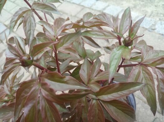 rblog-20140420215455-02.jpg