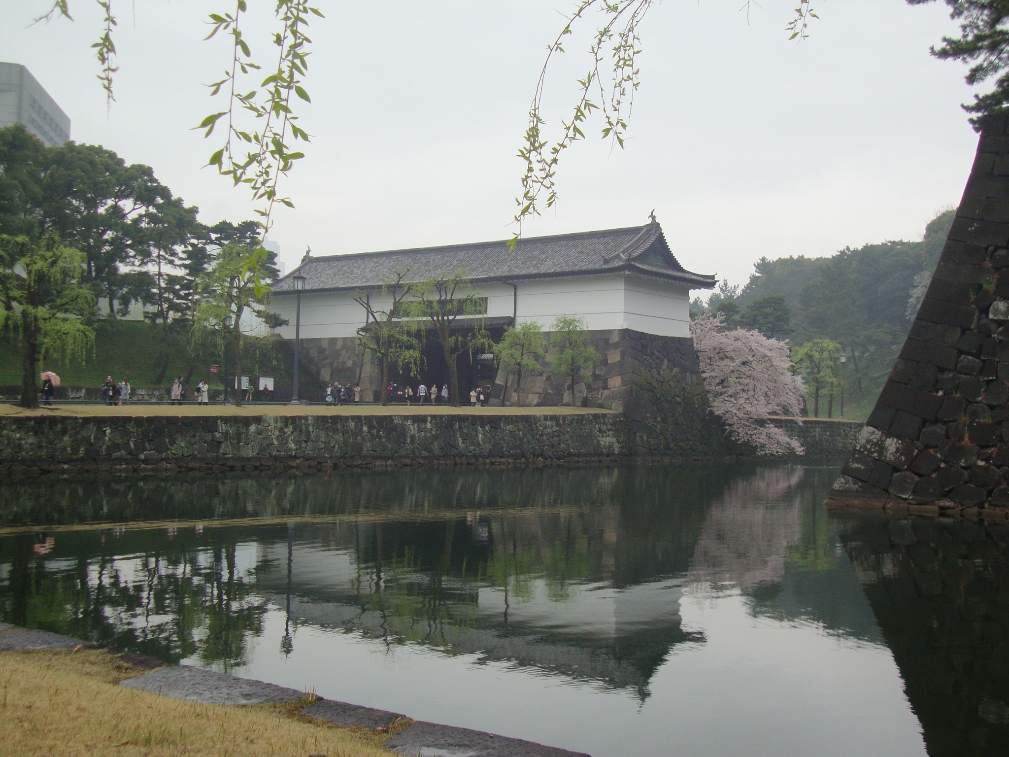 DSC08324.JPG