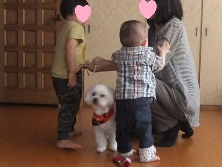 DSCF0227.JPG