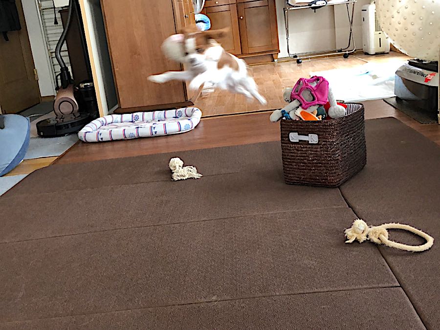rblog-20181016090214-07.jpg