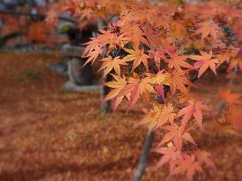 2012120212