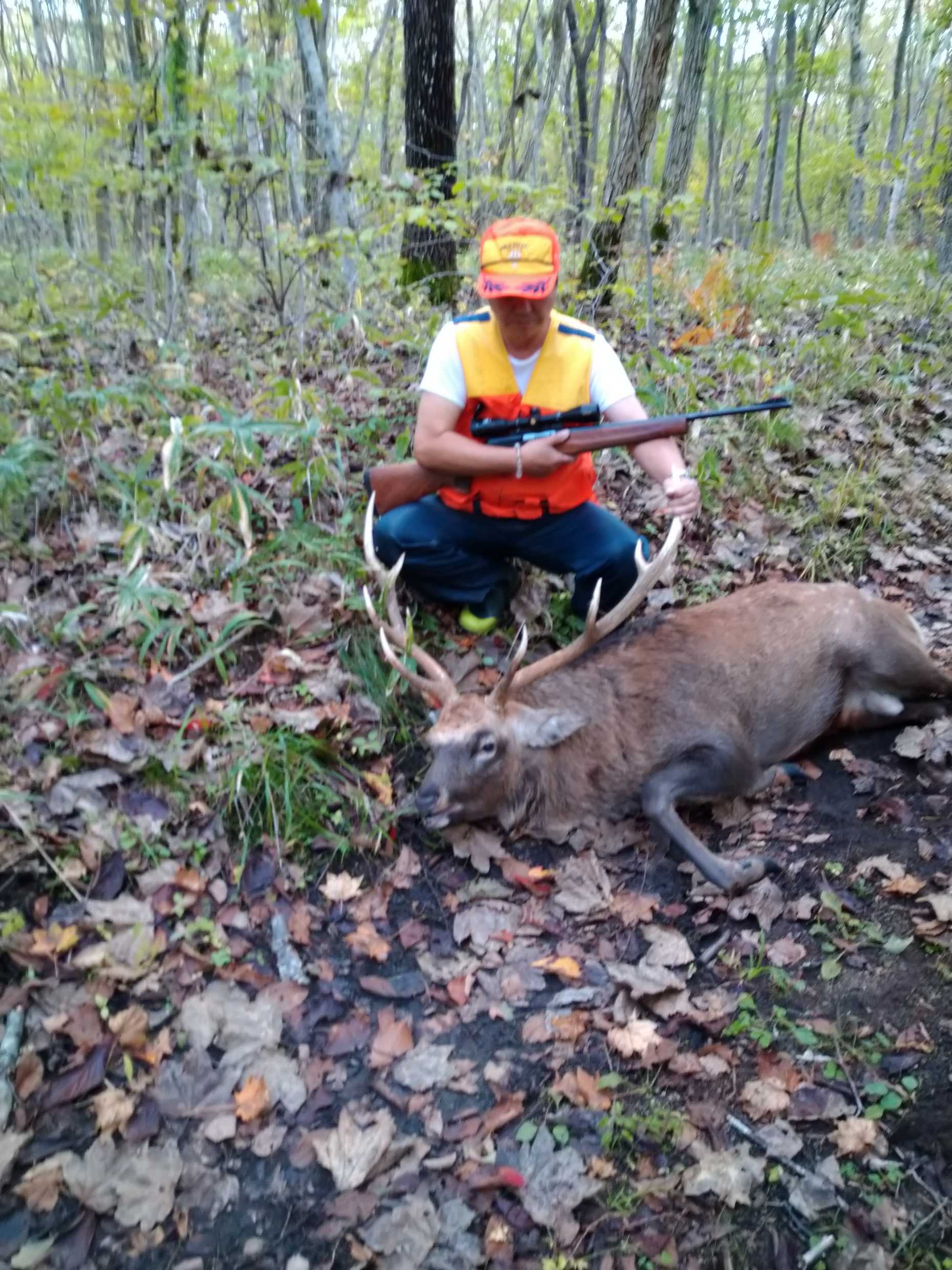 狩猟 の記事一覧 いしちゃんの趣味の部屋 楽天ブログ