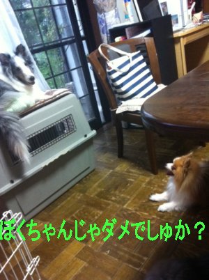 避難ミル