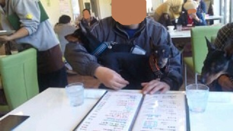 SH3D47550001.jpg