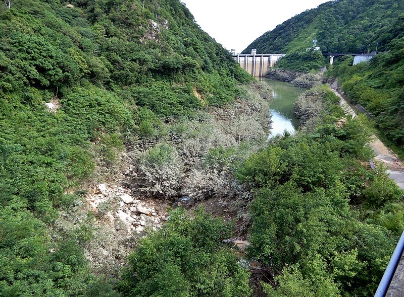 大橋から1