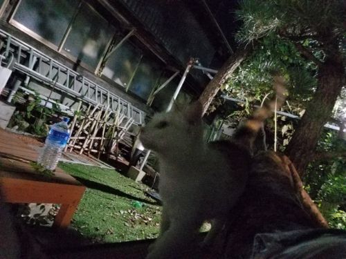 rblog-20180918154541-00.jpg