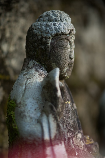 DSC08680 - コピーA.jpg