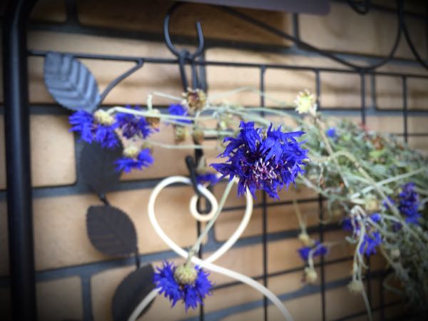 rblog-20160426005610-08.jpg