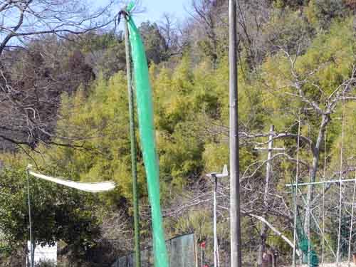 風の通り道.jpg