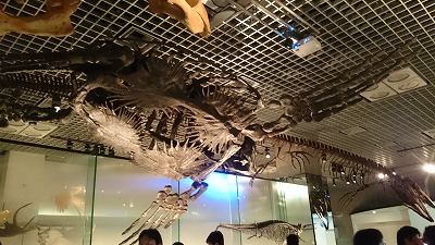 ９／２１　国立科学博物館２