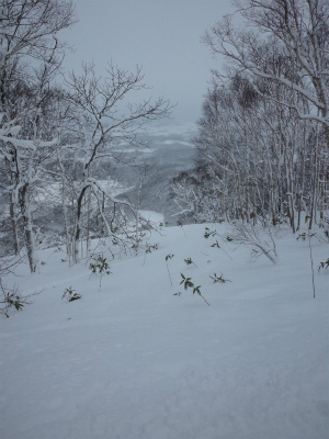 DSC_0024.jpg