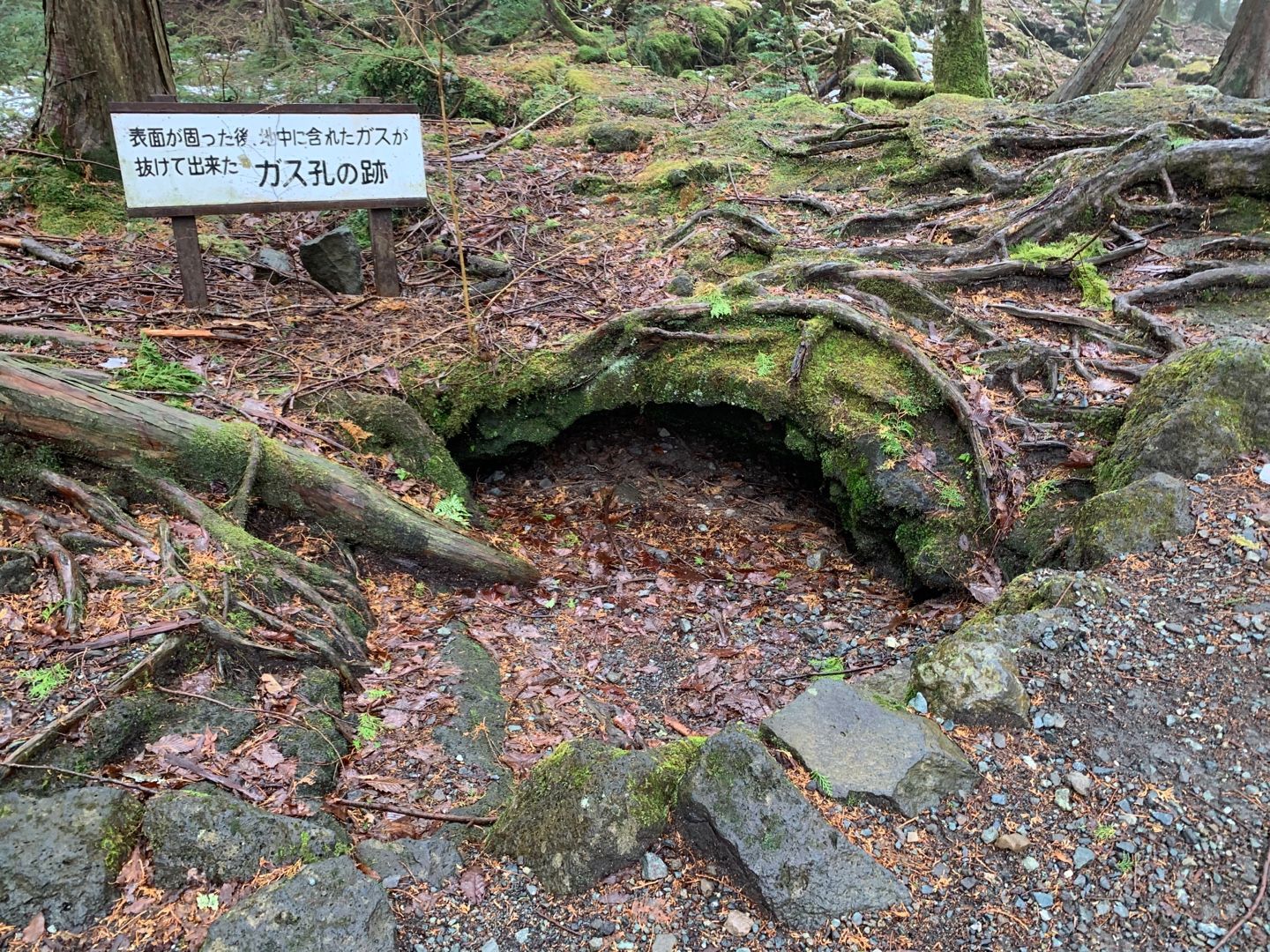 富岳風穴を観に行ったら ガス孔の跡を見かけました 青木ヶ原樹海 Music Land 私の庭の花たち 楽天ブログ