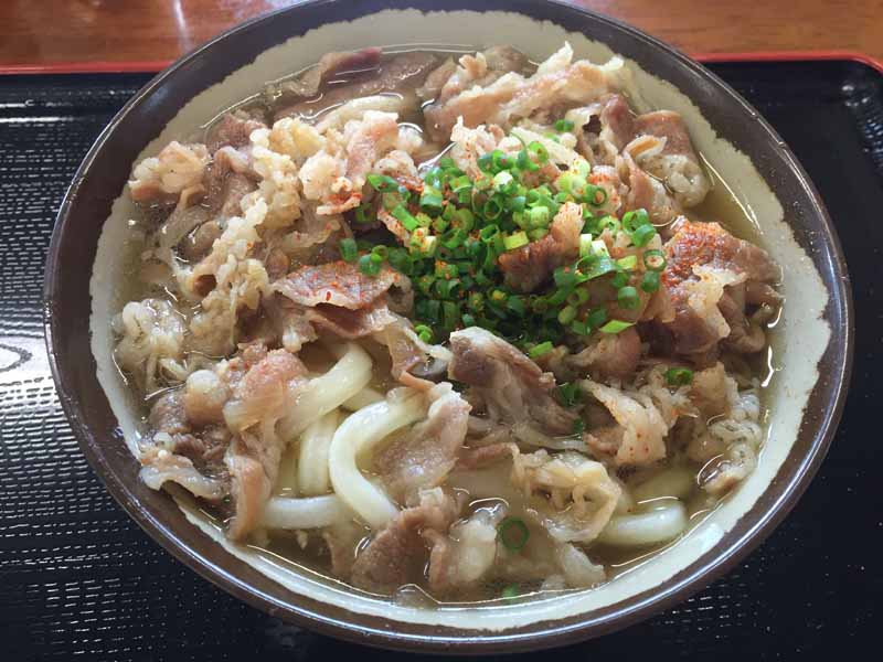 根っこ・肉うどん（大）